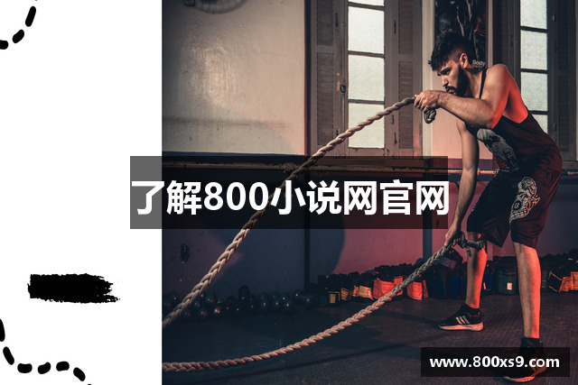 了解800小说网官网
